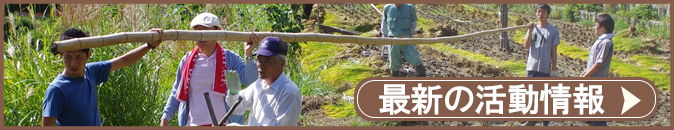 最新の活動情報
